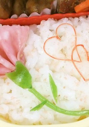 母の日にｶｰﾈｰｼｮﾝのお弁当☆-レシピのメイン写真
