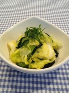 キャベツと胡瓜の浅漬-レシピのメイン写真