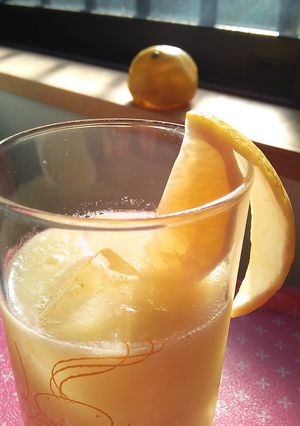 初夏を味わう♪小夏まるごとジュース!-レシピのメイン写真