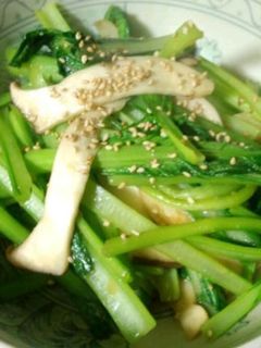 エリンギと小松菜の茎のチャチャッと炒め-レシピのメイン写真