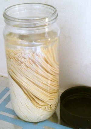 エコエコ♪　スパゲッティーのゆで方-レシピのメイン写真