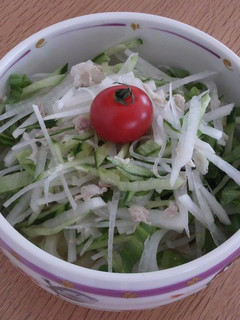 簡単♪サラダうどん♪-レシピのメイン写真