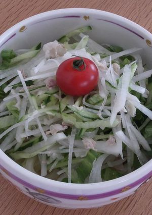 簡単♪サラダうどん♪-レシピのメイン写真
