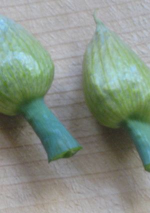 高級料亭の味♥ねぎ坊主の天ぷら-レシピのメイン写真