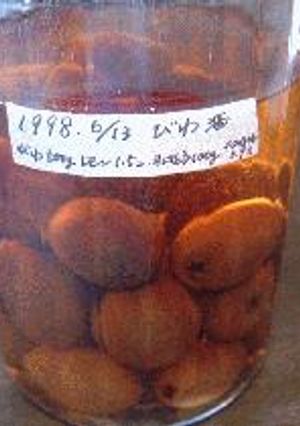 絶対美味しい！果実酒②びわ酒-レシピのメイン写真