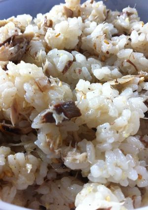 余った塩鯖で 簡単 鯖生姜混ぜご飯-レシピのメイン写真