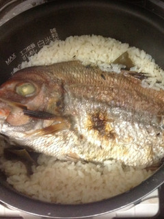 1尾まるごと、簡単鯛ご飯-レシピのメイン写真