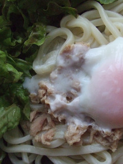 サラダうどんの温泉卵のせ-レシピのメイン写真