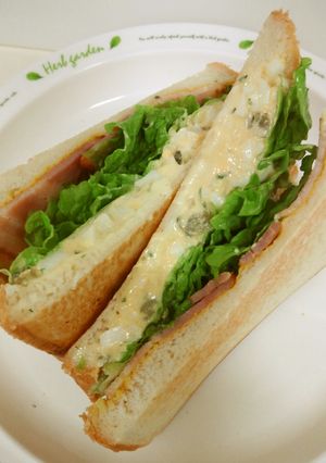 王道のホットサンド　エッグハムチーズ-レシピのメイン写真