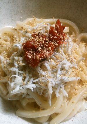 さっぱり★梅しらすうどん-レシピのメイン写真