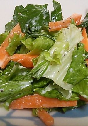 ☆新鮮野菜のさっぱりサラダ-レシピのメイン写真