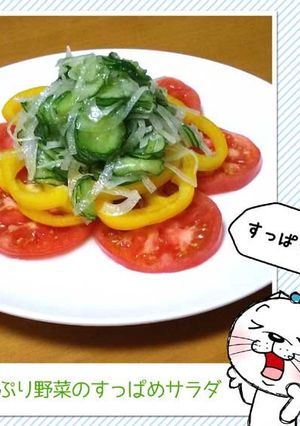 たっぷり野菜のすっぱめサラダ-レシピのメイン写真