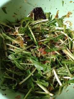 栄養満点水菜のサラダ-レシピのメイン写真