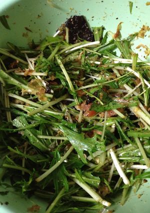 栄養満点水菜のサラダ-レシピのメイン写真