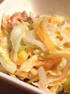 野菜たっぷりコールスロー風サラダ✩-レシピのメイン写真