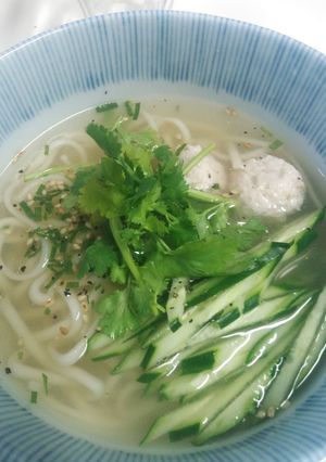 簡単！楽チン♪フォー風うどん-レシピのメイン写真