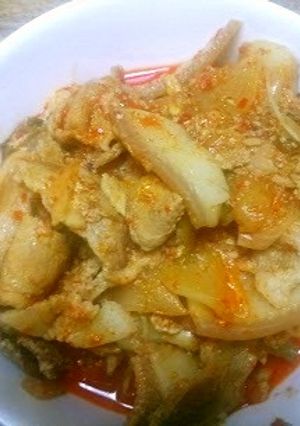 【韓国】豚肉とたまねぎの辛煮込み-レシピのメイン写真