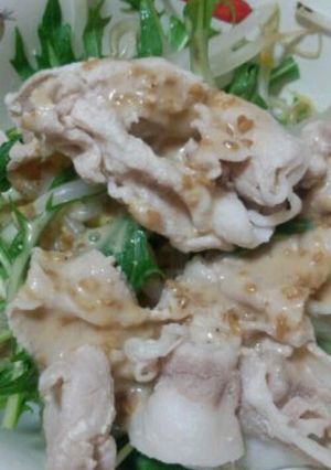 カンタン豚しゃぶサラダ-レシピのメイン写真
