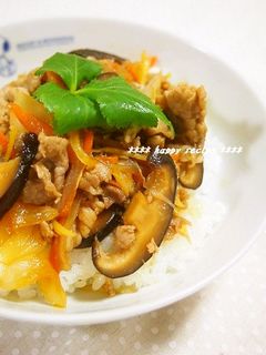 疲労回復✿豚肉と玉葱のさっぱり生姜焼き丼-レシピのメイン写真