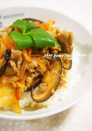 疲労回復✿豚肉と玉葱のさっぱり生姜焼き丼-レシピのメイン写真