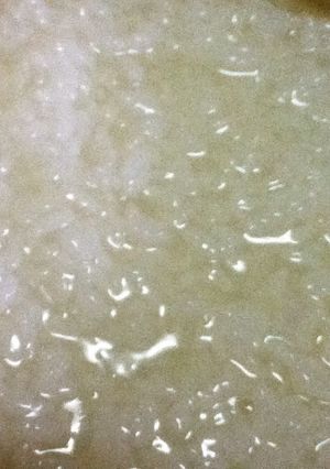 生米から作るお粥-レシピのメイン写真