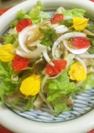 せつみかさん酢玉ねぎとかまぼこ？のサラダ-レシピのメイン写真