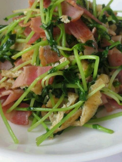 ちゃちゃっとウマッ!!豆苗炒め♪-レシピのメイン写真