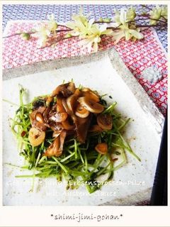 豆苗と舞茸のピリ辛オイスターソース炒め-レシピのメイン写真