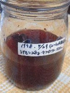 絶対役立つ!果実酒①シナモン酒-レシピのメイン写真