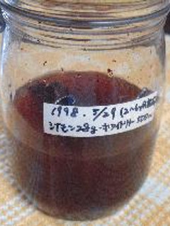 絶対役立つ!果実酒①シナモン酒-レシピのメイン写真