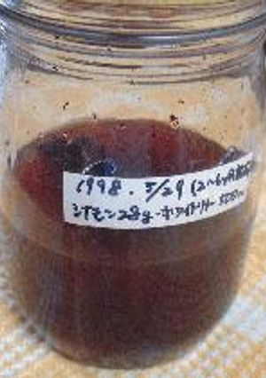 絶対役立つ！果実酒①シナモン酒-レシピのメイン写真