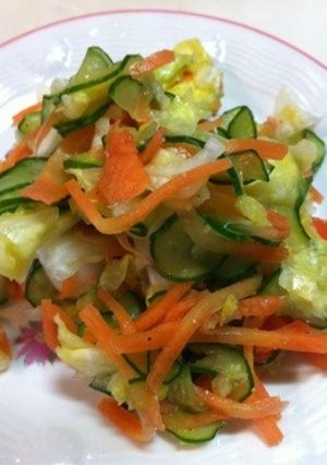 簡単 塩もみ野菜-レシピのメイン写真