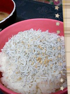 ★簡単★ごま油香るしらす丼-レシピのメイン写真