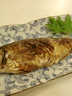 鯵のさばき方/鯵の塩焼き -レシピのメイン写真
