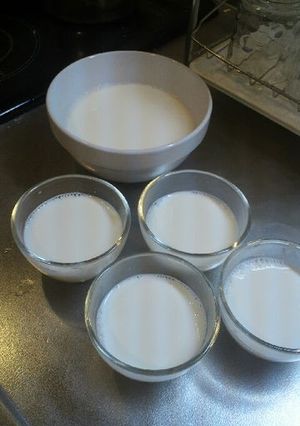 簡単なのに濃厚！杏仁豆腐-レシピのメイン写真