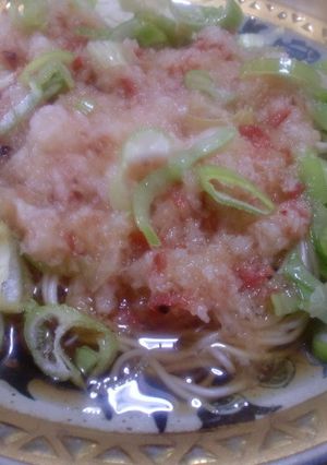 梅おろしそうめん-レシピのメイン写真