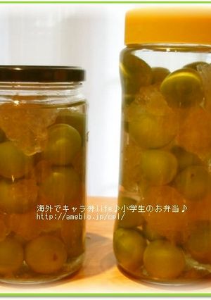 ウォッカで梅酒作り　★海外で梅酒-レシピのメイン写真