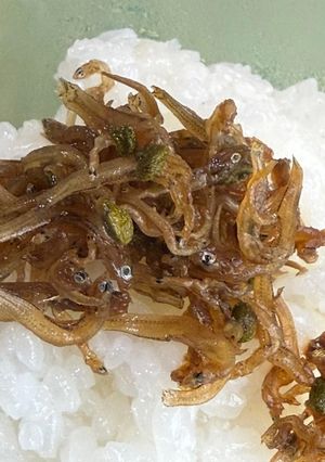 【初夏の味】ちりめん山椒【簡単】-レシピのメイン写真