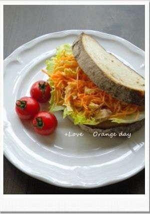 鶏むね肉と人参のチャイニーズサンド-レシピのメイン写真