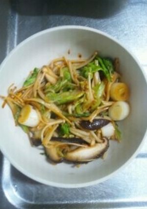 ５月１２日晩飯　【野菜炒め】-レシピのメイン写真