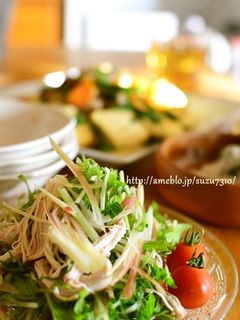 蒸し鶏の薬味サラダ-レシピのメイン写真
