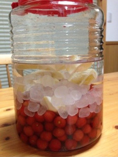 さくらんぼ酒-レシピのメイン写真