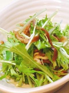 水菜と切干大根のサラダ-レシピのメイン写真