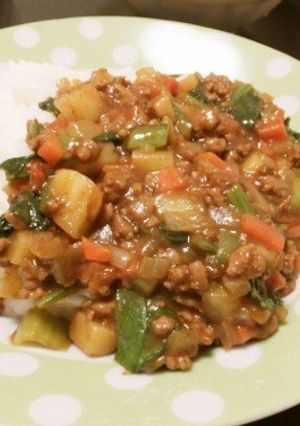 野菜たくさんドライカレー-レシピのメイン写真