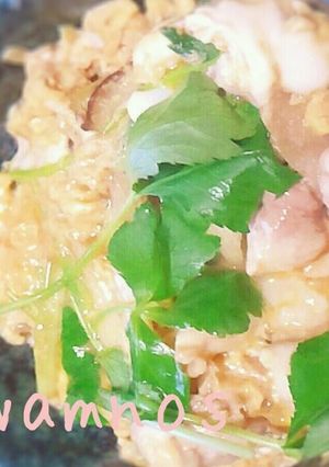 親子丼-レシピのメイン写真