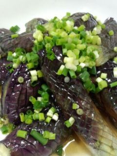 茄子の揚げ浸し-レシピのメイン写真