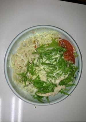 食欲減退でもさっぱりサラダうどん-レシピのメイン写真