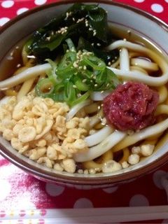 梅ぇ~‼ 冷やしうどん♬+♬+*-レシピのメイン写真