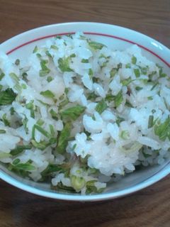 刻んでご飯に混ぜるだけ!-レシピのメイン写真