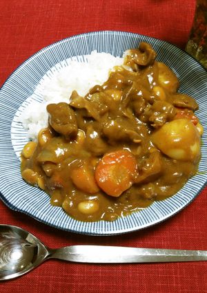 家族みんなの大好物！砂肝カレー-レシピのメイン写真